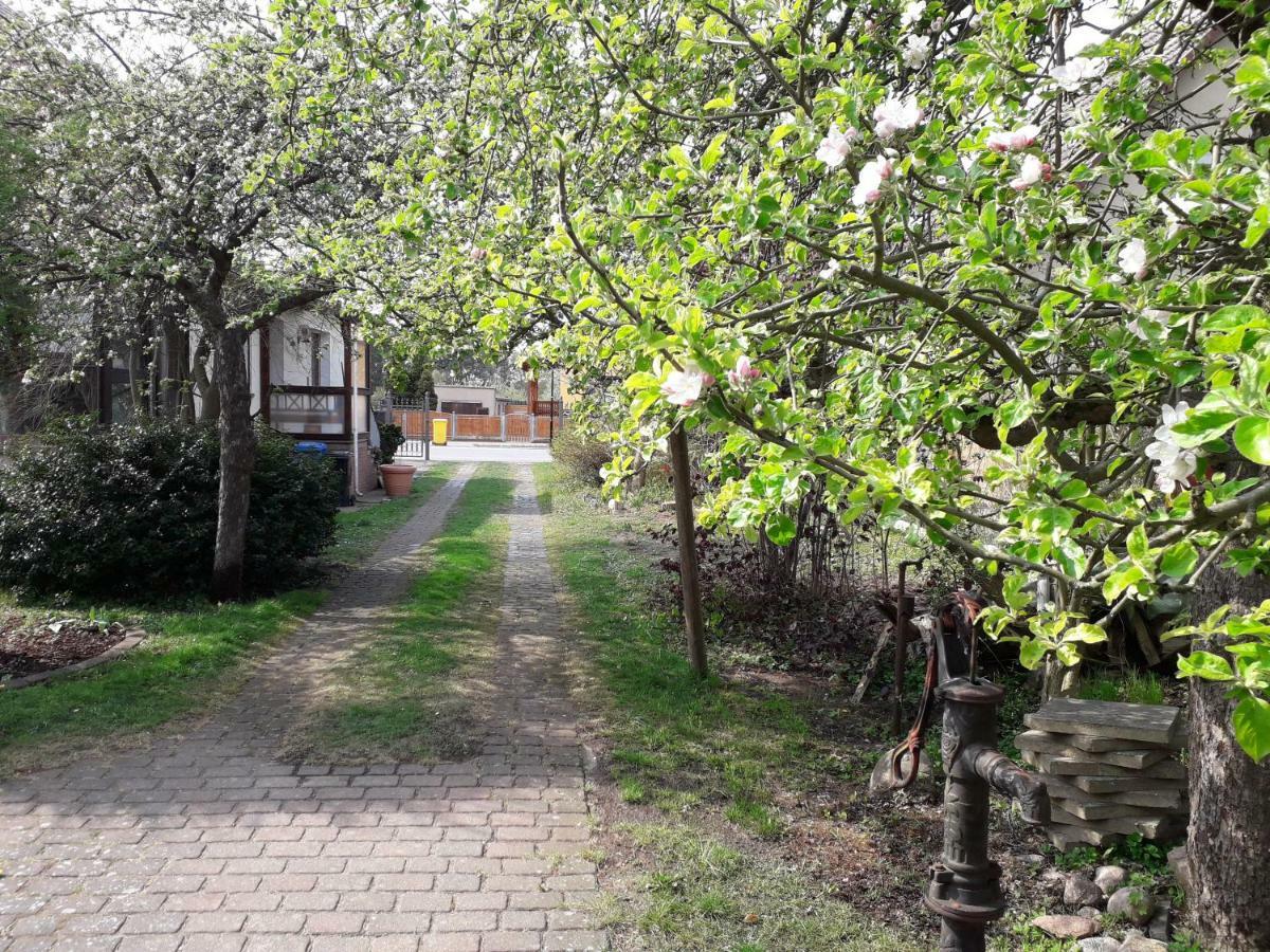 Ferienhaus Gartentraum Rheinsberg Exterior photo
